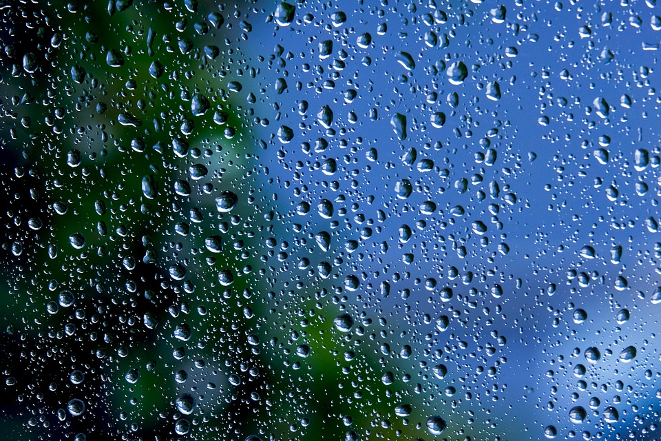 direct-to-source water fountain