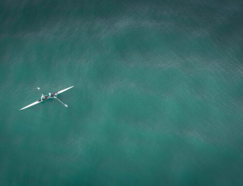Exploring Gym Water Coolers in South Africa